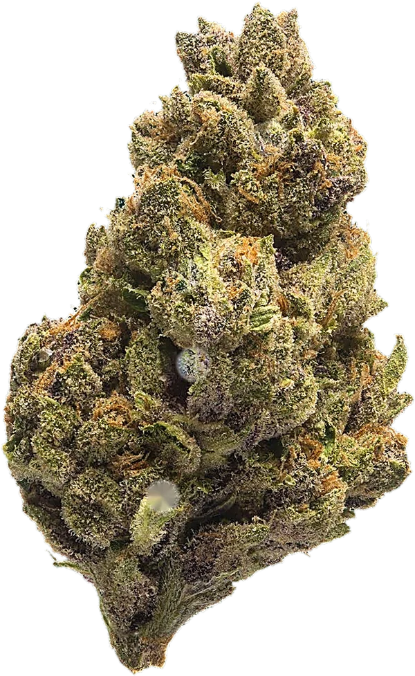 Medizinalcannabisblüte in EU-GMP-Qualität